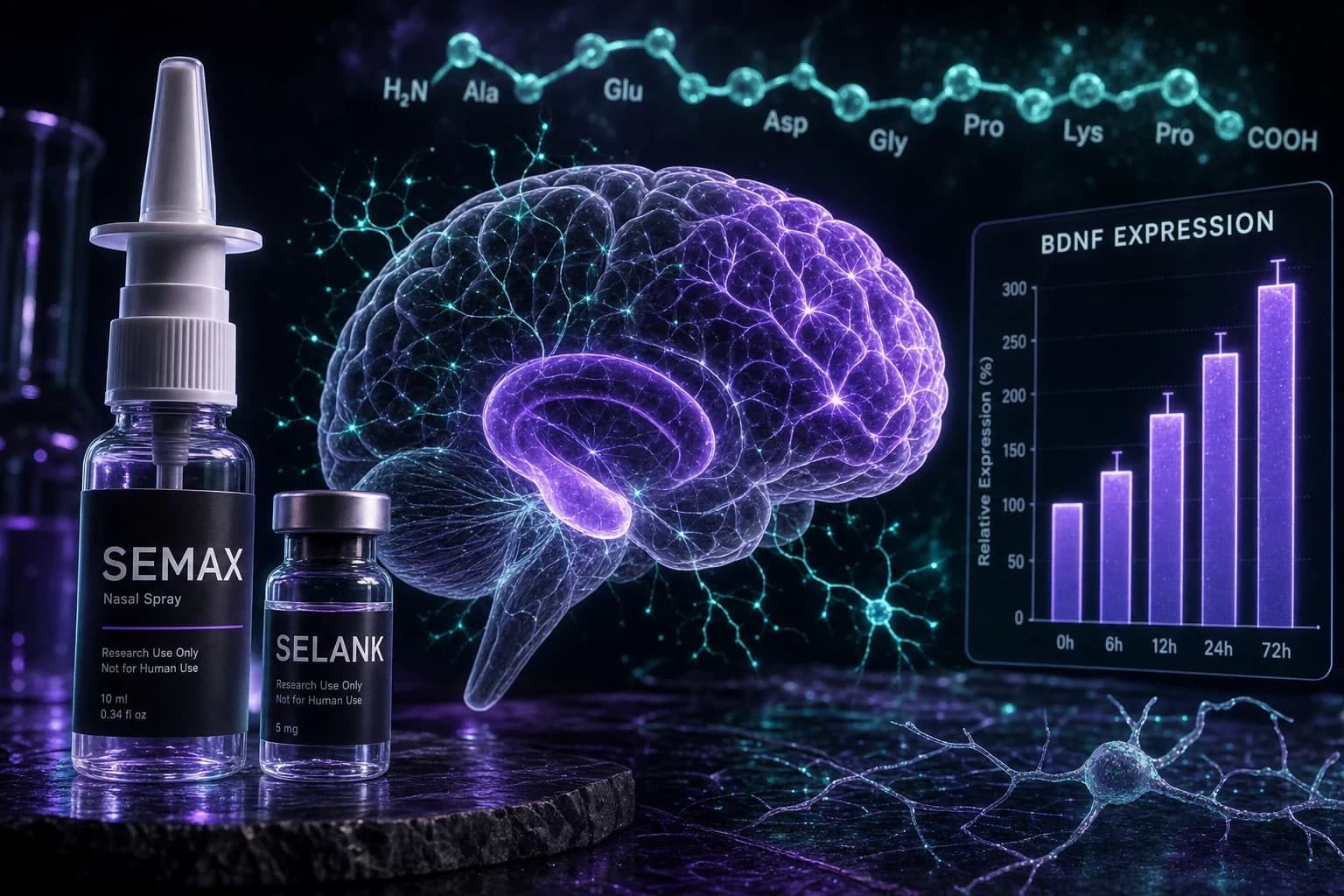Best Nootropic Peptides: The Ones With a Mechanism You Can Name