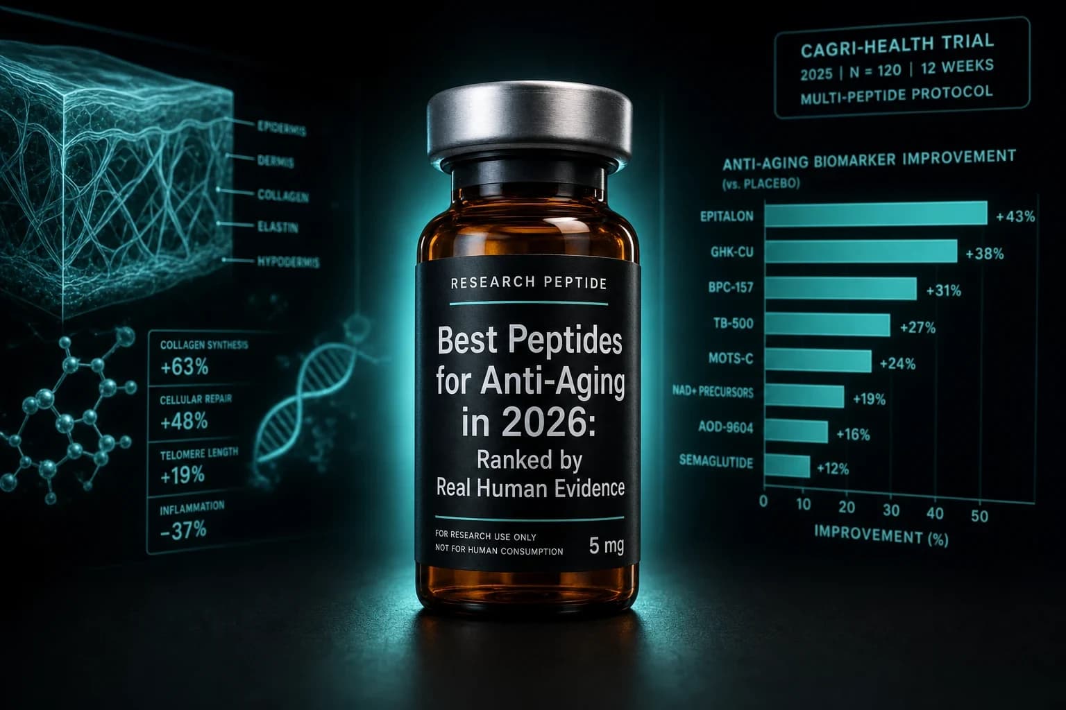Best Peptides for Anti-Aging in 2026: Ranked by Real Human Evidence
