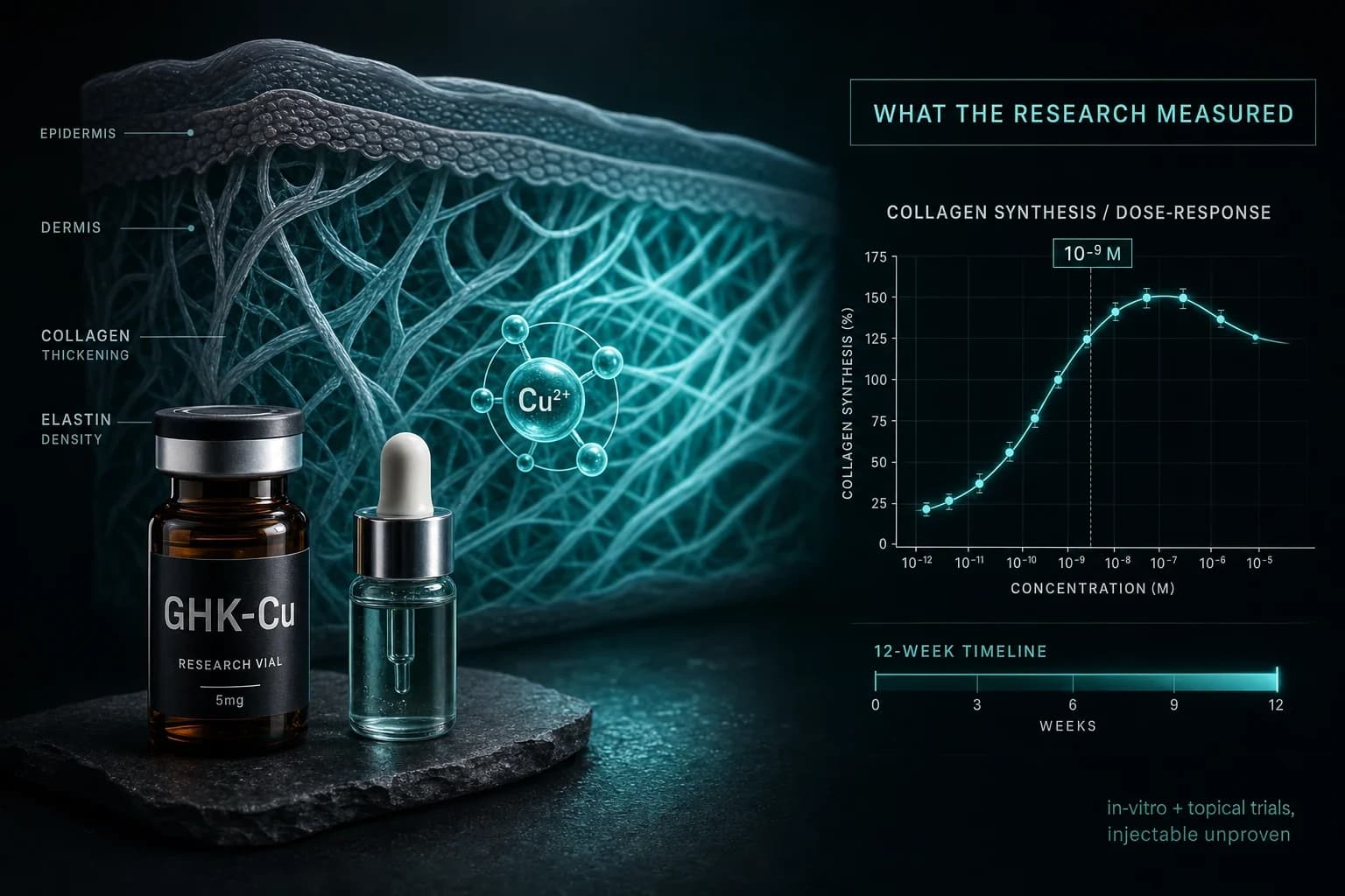 GHK-Cu Before and After: What the Research Actually Measured