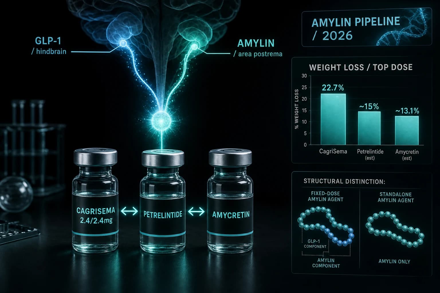 GLP-1 + Amylin Combinations 2026: CagriSema, Petrelintide, Amycretin