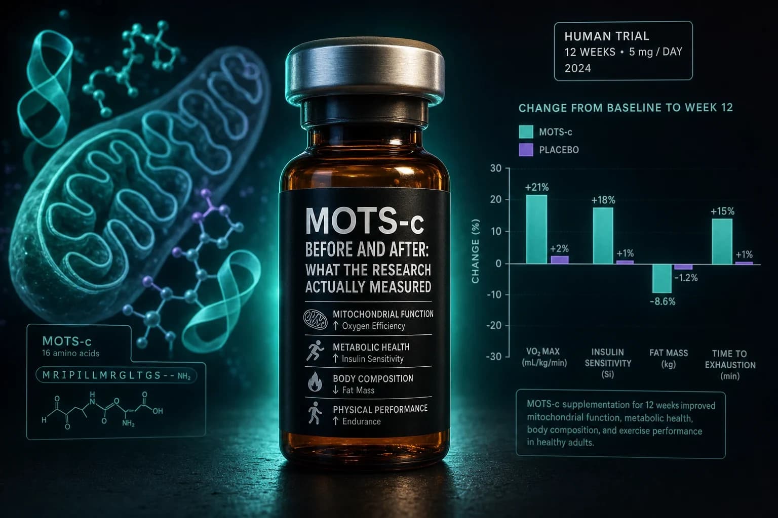MOTS-c Before and After: What the Research Actually Measured