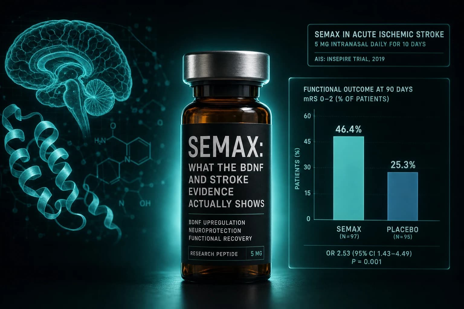Semax: What the BDNF and Stroke Evidence Actually Shows