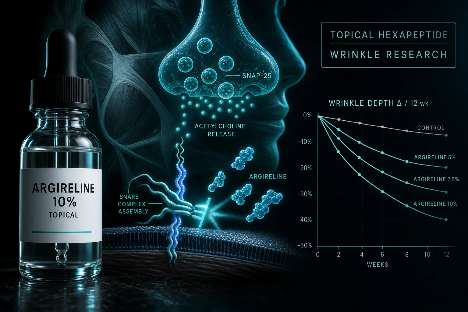 Argireline (Acetyl Hexapeptide-3) Topical Guide: What Actually Works